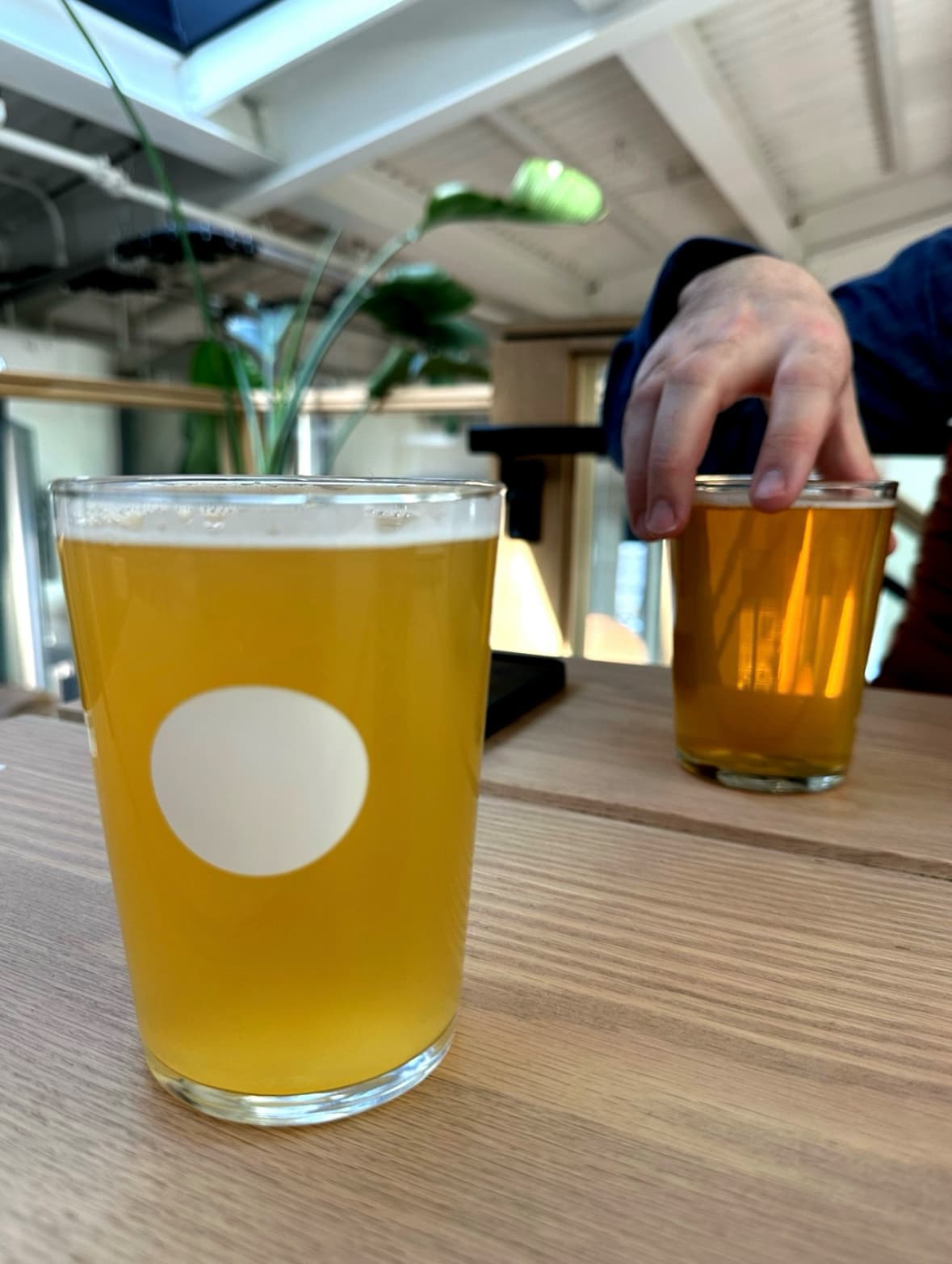 33 Acres Brewing Company Calgary