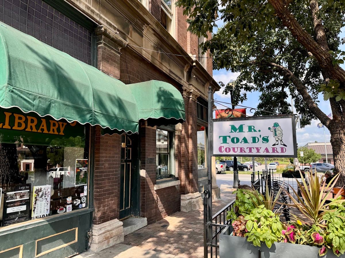 Mister toads — The Old Market, Omaha