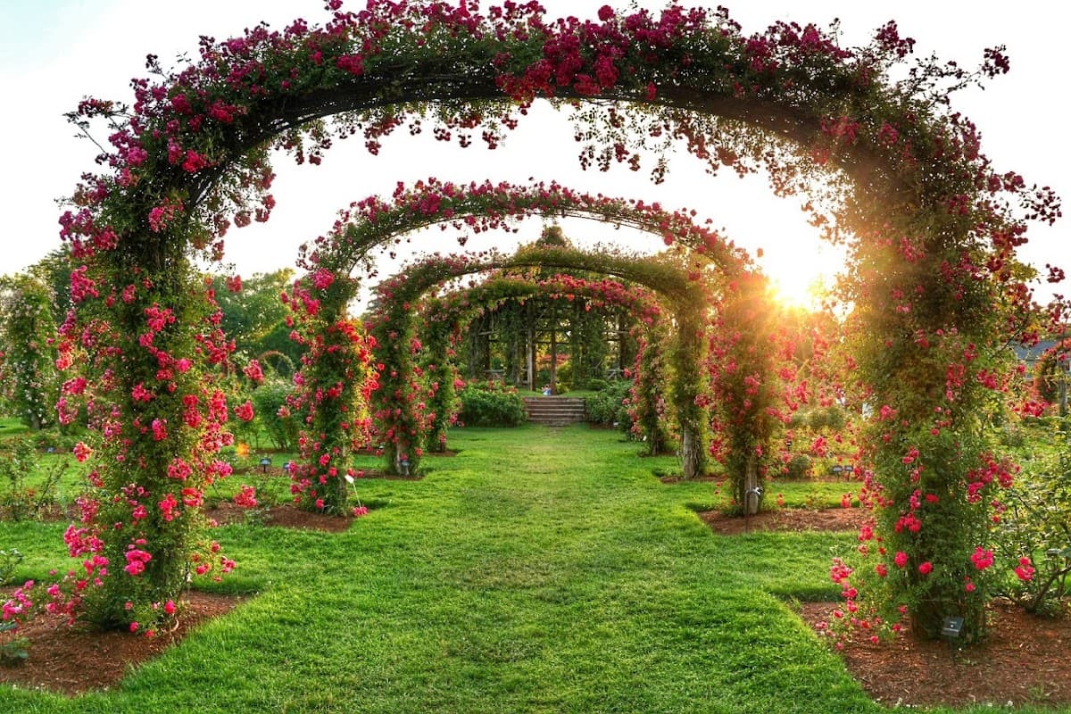 Elizabeth Park Rose Garden
