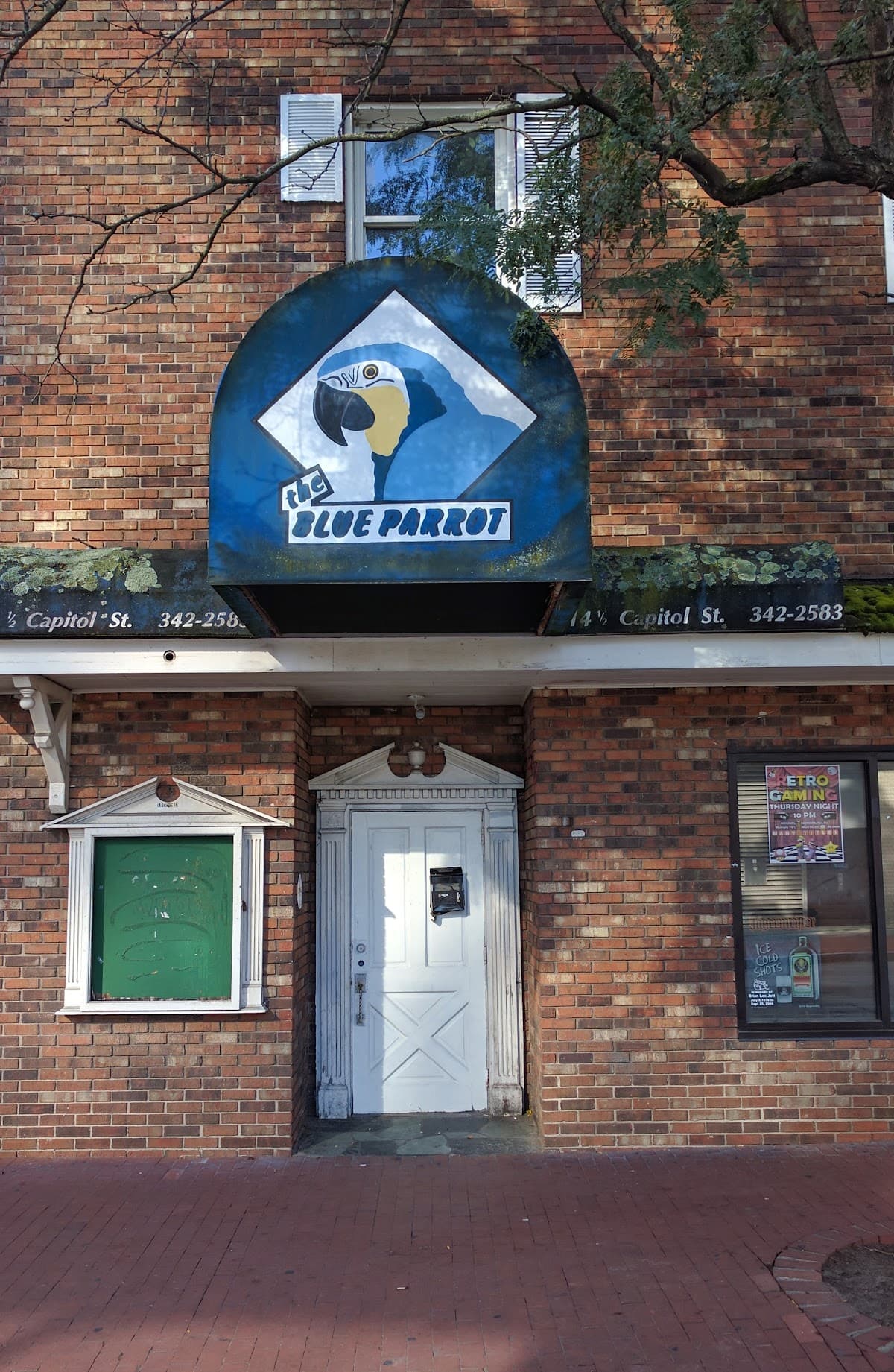 Blue Parrot