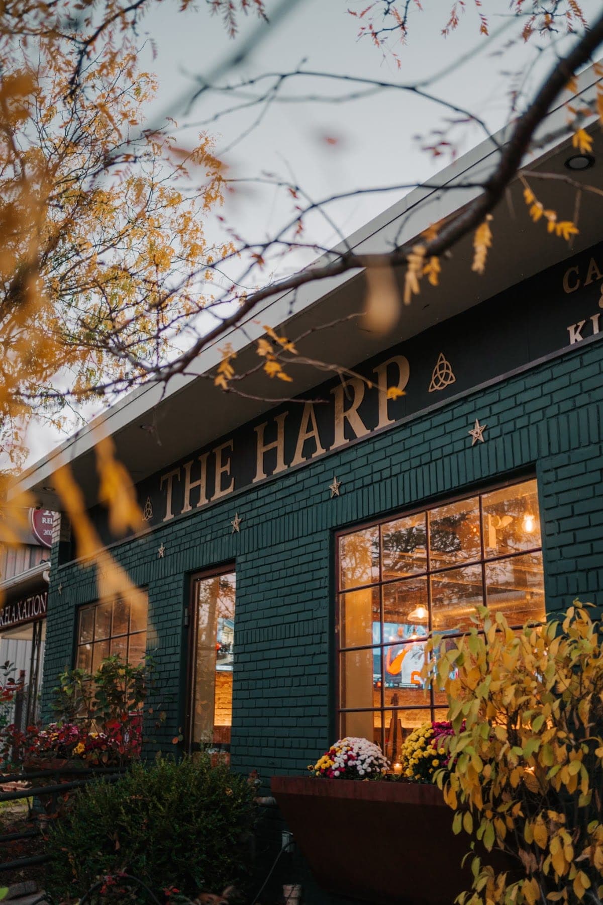 The Harp — Northeast Washington, Washington, DC