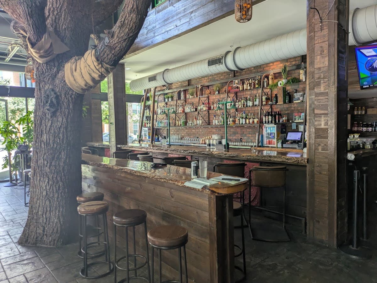 Charlotte Beer Garden — Charlotte