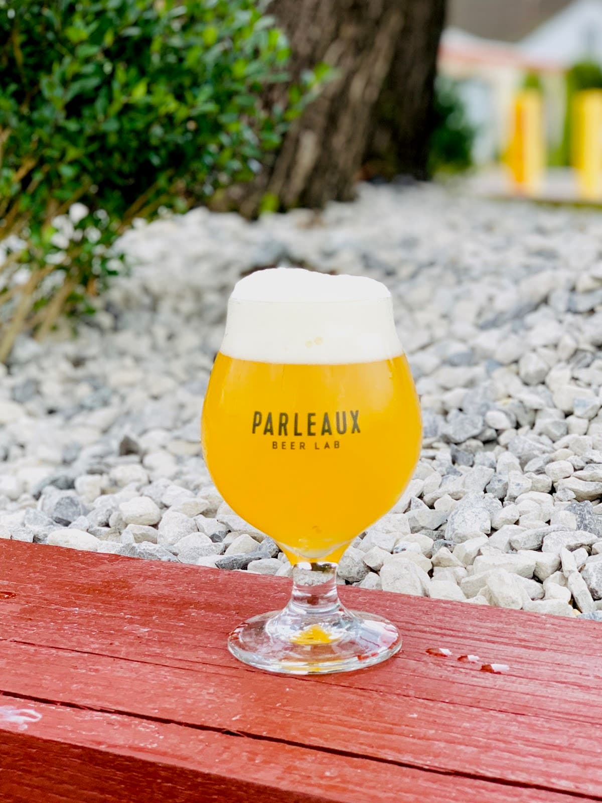 Parleaux Beer Lab — Bywater, New Orleans